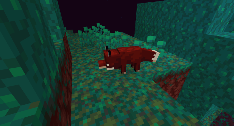 Crimson Fox